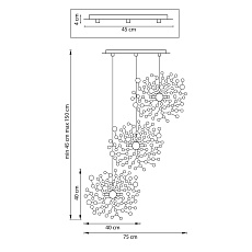 Комплект с подвесной люстрой Lightstar Extra (721132-3+572132-1) L3PR721132 1