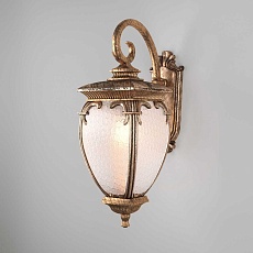 Уличный настенный светильник Elektrostandard Andromeda D (GLYF-8024D) a027996