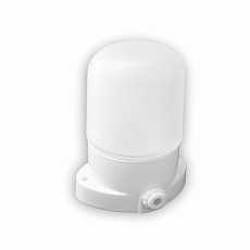 Настенно-потолочный светильник LEEK LE061100-0065