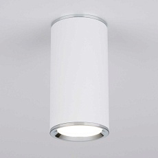 Потолочный светильник Elektrostandard DLN101 GU10 WH белый a043967