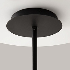 Подвесная люстра Maytoni Technical Mollis MOD126PL-08B 4