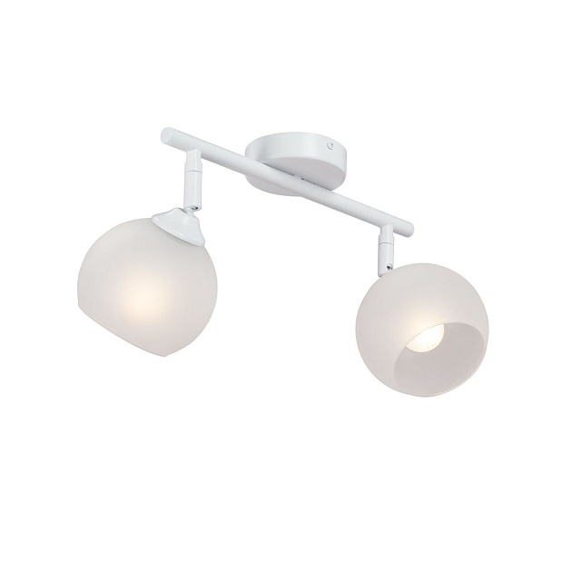 Спот Vitaluce V4313-0/2PL изображение 1 Спот Vitaluce V4313-0/2PL Фото № 1