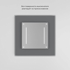 Сенсорный выключатель двухклавишный Werkel (Умный дом) с подсветкой серебряный W4523006 a064144 2