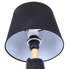 Настольная лампа Lumion Moderni Visiona 8209/1T 3