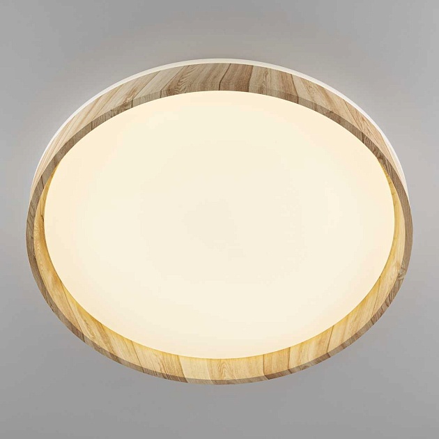 Потолочный светодиодный светильник Citilux Enzo CL753452G Фото № 17