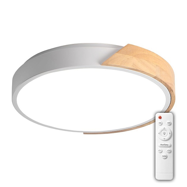 Потолочный светодиодный светильник Jazzway PPB Sсandic-R 5036970 Фото № 1