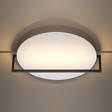 Настенно-потолочный светодиодный светильник Odeon Light Hightech Lunar 7015/20WL 4