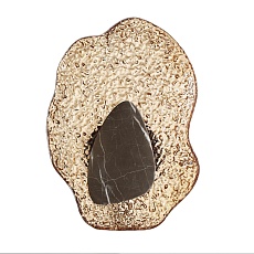 Настенный светодиодный светильник Odeon Light Coralla L-Vision 5461/12WLA