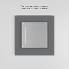 Сенсорный выключатель одноклавишный Werkel (Умный дом) с подсветкой серебряный W4513006 a064143 1