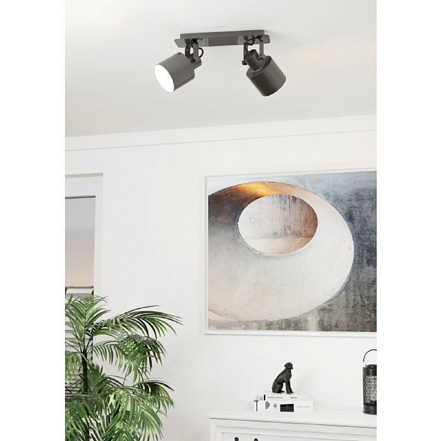 Спот Eglo Southery 43818 Фото № 3