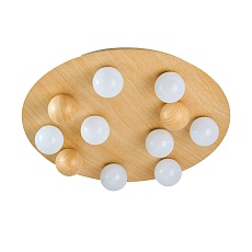 Потолочный светодиодный светильник F-Promo Swarm 4694-8C 2