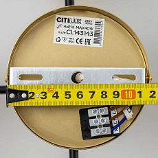 Потолочная люстра Citilux Шарлиз CL143143 3