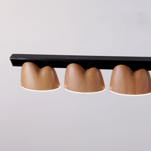 Подвесная светодиодная люстра Favourite Interline 4266-10P Фото № 7