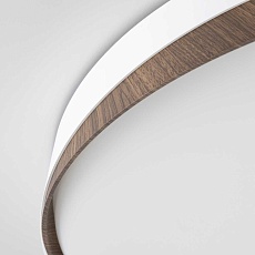 Потолочный светодиодный светильник Citilux Bonny CL754450G 2