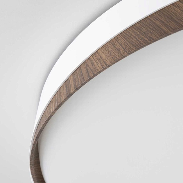 Потолочный светодиодный светильник Citilux Bonny CL754450G Фото № 3