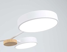 Люстра на штанге Ambrella light COMFORT FL4858 1