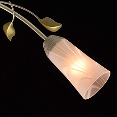 Потолочная люстра MW-Light Восторг 242015306 2