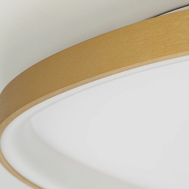 Потолочный светодиодный светильник Citilux Genka Smart CL756A162 Фото № 5