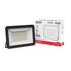 Прожектор светодиодный Gauss 100W 613100100 1